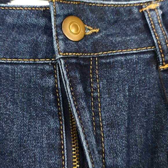 NWT Rachel Zoe Denim Maxi Skirt Size 8 Blue Raw Hem Boho - Picture 4 of 7